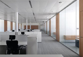 Frameless Glass Partitions